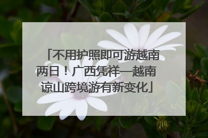 不用护照即可游越南两日！广西凭祥—越南谅山跨境游有新变化