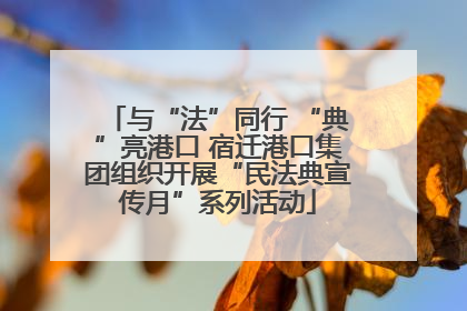 与“法”同行 “典”亮港口 宿迁港口集团组织开展“民法典宣传月”系列活动