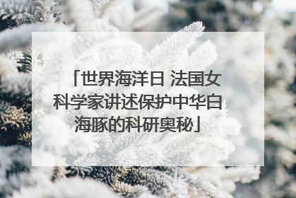 世界海洋日 法国女科学家讲述保护中华白海豚的科研奥秘