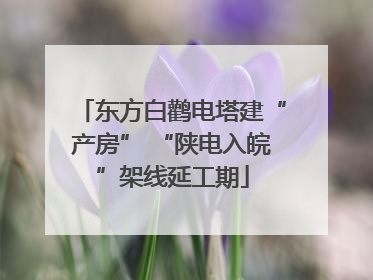 东方白鹳电塔建“产房” “陕电入皖”架线延工期