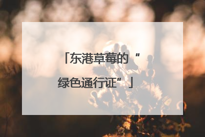 东港草莓的“绿色通行证”