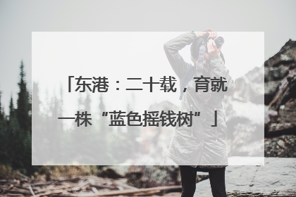东港：二十载，育就一株“蓝色摇钱树”