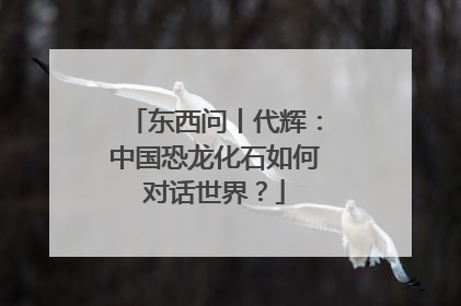 东西问丨代辉：中国恐龙化石如何对话世界？