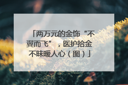 两万元的金饰“不翼而飞”，医护拾金不昧暖人心（图）
