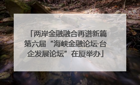 两岸金融融合再谱新篇 第六届“海峡金融论坛·台企发展论坛”在厦举办