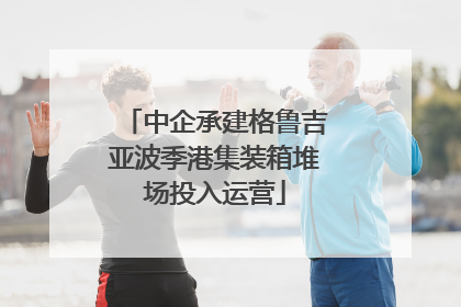中企承建格鲁吉亚波季港集装箱堆场投入运营