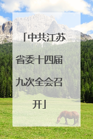 中共江苏省委十四届九次全会召开