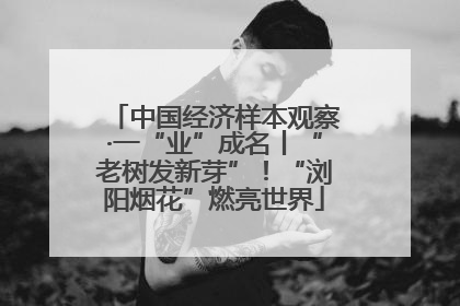 中国经济样本观察·一“业”成名丨“老树发新芽”！“浏阳烟花”燃亮世界
