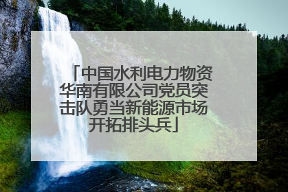 中国水利电力物资华南有限公司党员突击队勇当新能源市场开拓排头兵