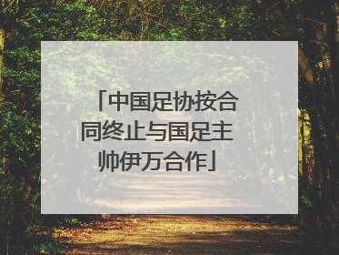 中国足协按合同终止与国足主帅伊万合作