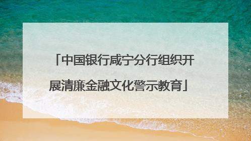 中国银行咸宁分行组织开展清廉金融文化警示教育