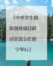 中外学生创新创业项目研讨交流会在南宁举行