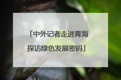 中外记者走进青海 探访绿色发展密码