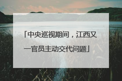中央巡视期间，江西又一官员主动交代问题