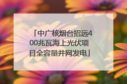 中广核烟台招远400兆瓦海上光伏项目全容量并网发电