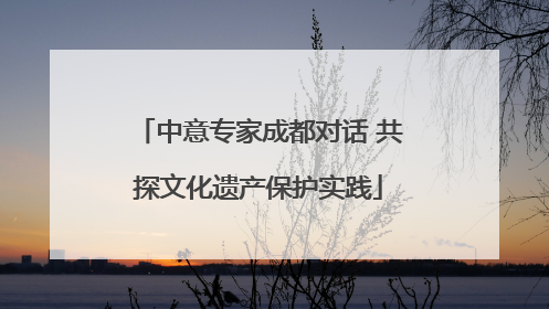中意专家成都对话 共探文化遗产保护实践