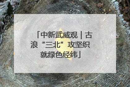 中新武威观｜古浪“三北”攻坚织就绿色经纬