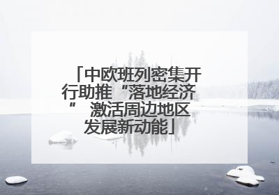 中欧班列密集开行助推“落地经济” 激活周边地区发展新动能