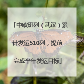 中欧班列（武汉）累计发运510列，提前完成半年发运目标
