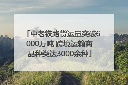 中老铁路货运量突破6000万吨 跨境运输商品种类达3000余种