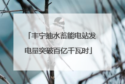 丰宁抽水蓄能电站发电量突破百亿千瓦时