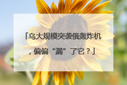 乌大规模突袭俄轰炸机，偏偏“漏”了它？