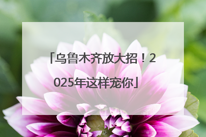 乌鲁木齐放大招！2025年这样宠你