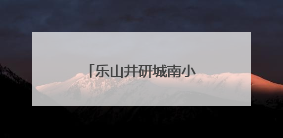 乐山井研城南小学：展现青春担当，共议身边要事
