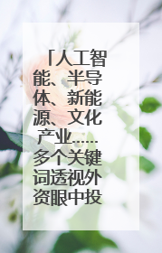 人工智能、半导体、新能源、文化产业……多个关键词透视外资眼中投资中国的新机遇