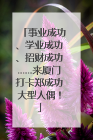 事业成功、学业成功、招财成功……来厦门打卡郑成功大型人偶！