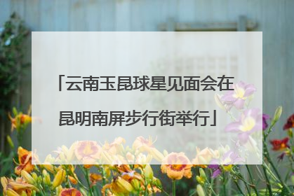 云南玉昆球星见面会在昆明南屏步行街举行
