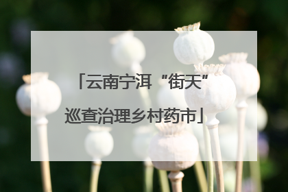 云南宁洱“街天”巡查治理乡村药市