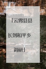 云霄县县长到和平乡调研