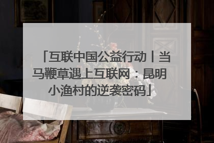互联中国公益行动丨当马鞭草遇上互联网：昆明小渔村的逆袭密码