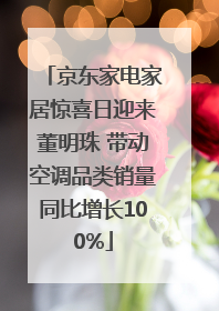 京东家电家居惊喜日迎来董明珠 带动空调品类销量同比增长100%