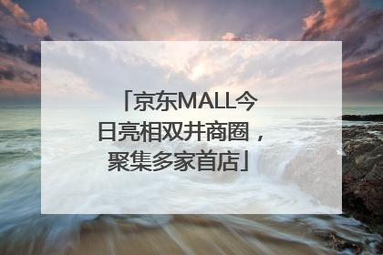 京东MALL今日亮相双井商圈，聚集多家首店