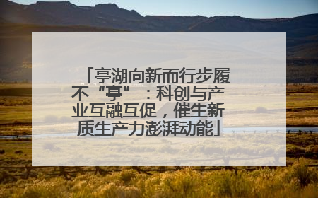 亭湖向新而行步履不“亭”：科创与产业互融互促，催生新质生产力澎湃动能