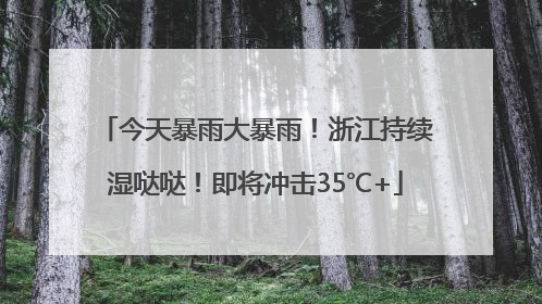 今天暴雨大暴雨！浙江持续湿哒哒！即将冲击35℃+