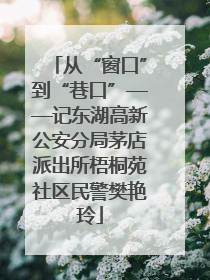 从“窗口”到“巷口”——记东湖高新公安分局茅店派出所梧桐苑社区民警樊艳玲