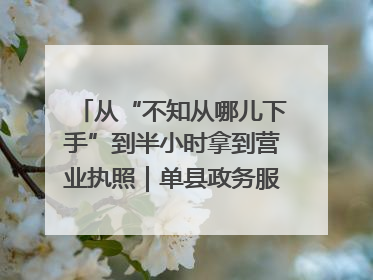 从“不知从哪儿下手”到半小时拿到营业执照｜单县政务服务与群众期待的“双向奔赴”