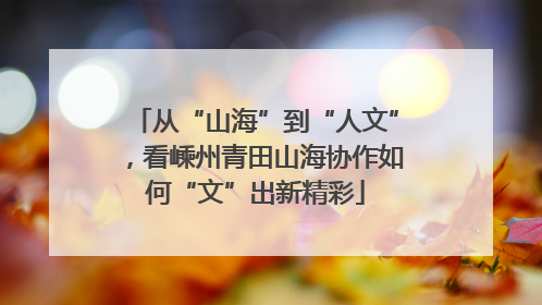 从“山海”到“人文”，看嵊州青田山海协作如何“文”出新精彩