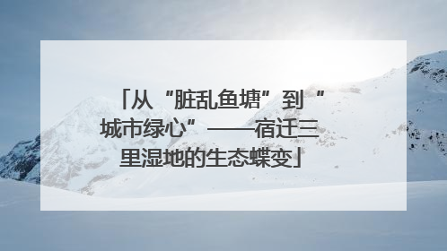 从“脏乱鱼塘”到“城市绿心”——宿迁三里湿地的生态蝶变