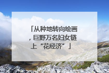 从种地转向绘画，巨野万名妇女链上“花经济”