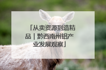 从卖资源到造精品｜黔西南州铝产业发展观察