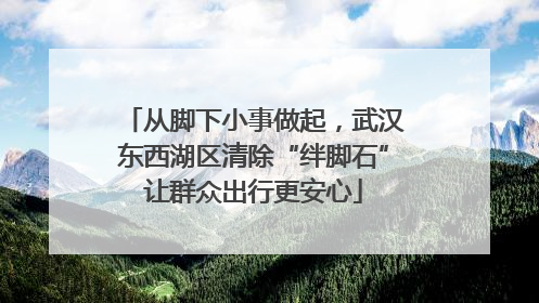 从脚下小事做起，武汉东西湖区清除“绊脚石”让群众出行更安心