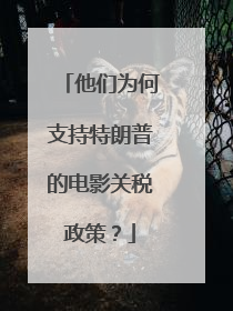 他们为何支持特朗普的电影关税政策？
