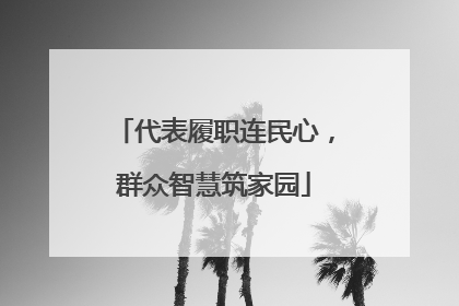 代表履职连民心，群众智慧筑家园