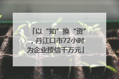 以“知”换“资”，丹江口市72小时为企业授信千万元