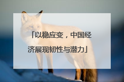 以稳应变，中国经济展现韧性与潜力