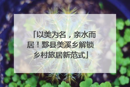 以美为名，亲水而居！黟县美溪乡解锁乡村旅居新范式